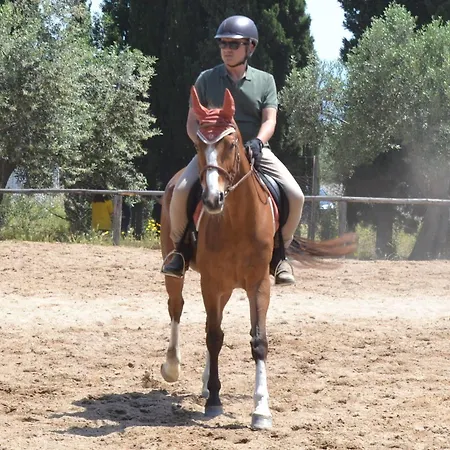 Hotel Mercury Boutique 4*